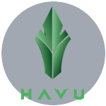 HAV