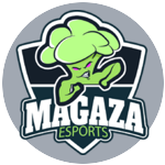 MAG